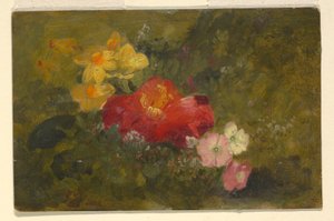 Wild Flowers, Jamaica, 1865