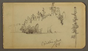 Wooded Shore, Tree Study, 1878 by Frederic Edwin Church