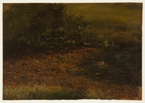 Woodland Stream in the Catskills, September 1848