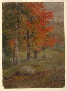 Woods in Autumn, 1865