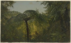 Jungle Foliage, Jamaica