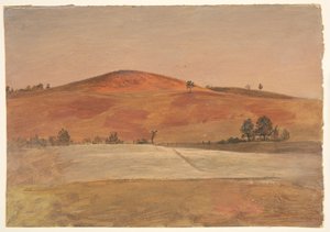 Landscape with Low Hill and Fields