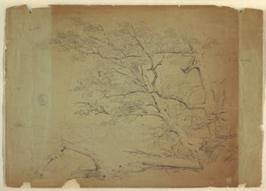 Landscape with Trees and a Stream, Grand Manan Island, Canada by Frederic Edwin Church