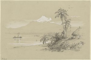 Magdalena River, New Granada, Ecuador by Frederic Edwin Church