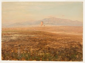 Mexican Landscape