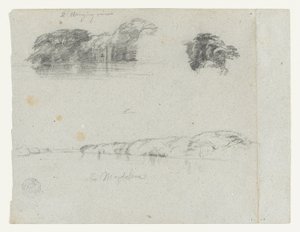 Sketches of Trees, Vines and a Bank of the Rio Magdalena, Colombia by Frederic Edwin Church