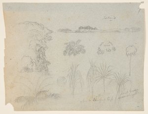 Study with Tree Tops, Trees, Five Designs of Plants, and a Distant Island