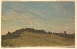 Summer Landscape