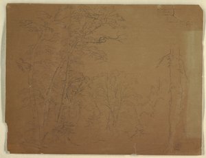 Trees, Grand Manan Island, Canada by Frederic Edwin Church
