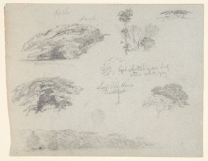 Trees, Tree Tops, and a Wooded Bank, Saddleback, Maine