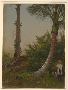 Trees in Jamaica, West Indies by Frederic Edwin Church