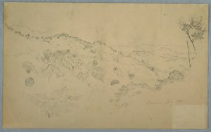 Wooded Vale with a Large Fern and Distant Mountain Ranges, Jamaica