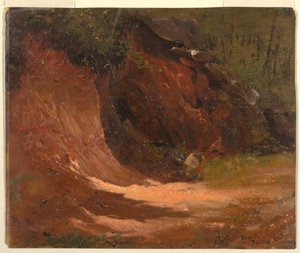 Woodland Bank, Jamaica by Frederic Edwin Church