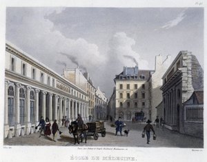 School of Medicine - in 