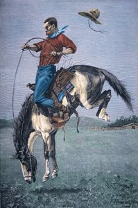 Bronco-Buster