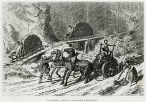Schlittage road by Frederic Theodore Lix