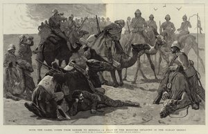 With the Camel Corps from Sarass to Dongola, a Halt of the Mounted Infantry in the Nubian Desert