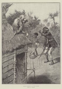 Highway Robbery by an Indian Monkey