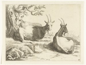 Goats The Drawing Book of Abraham Bloemaert (series title) by Frederick Bloemaert