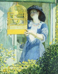 The Open Window