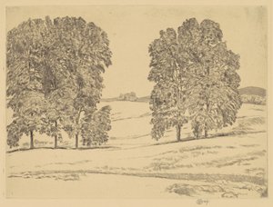 Hickories in a Hayfield, 1917