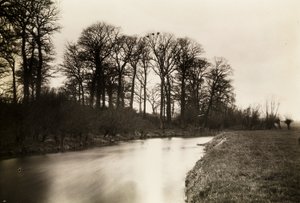 Kelmscott Manor: The Thames Near the Manor