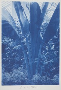Untitled, December 10 by Frederick K. Coulson