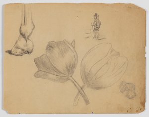 Sketchbook Page