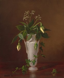 Myosotis and Roses in a Vase by Frederick S. Batcheller