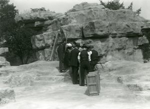 A group of keepers unpacking Sacred Baboons among the rocks of 