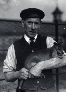 A keeper holds a wallaby, October 1920 by Frederick William Bond