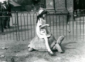 A Small Girl, Betty, Holds Out a Stick with an Apple on the End to Lead the Giant Tortoise She is Riding, London Zoo, 1924 by Frederick William Bond