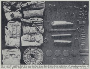 Items found in the stomach of an ostrich by Frederick William Bond