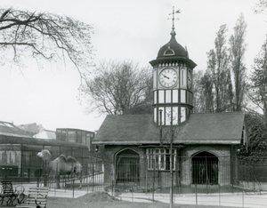 The Camel House, London Zoo