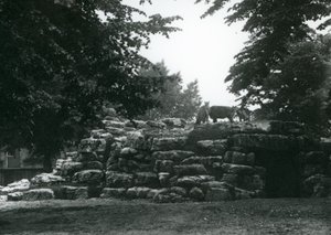 The Eland Antelope Paddock at London Zoo in June 1924 by Frederick William Bond