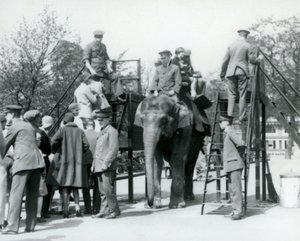 Visitors Queueing for an Elephant Ride While Others Embark, with the Help of Five Keepers, London Zoo by Frederick William Bond