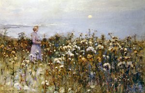 Summer Sun