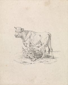 Bull by Frederik Lodewijk Huygens
