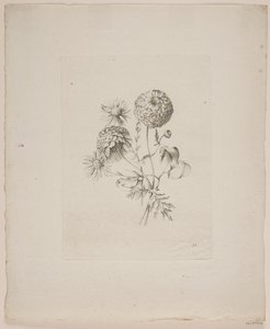 Flower Motif by Frederik Schepelern