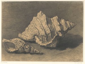 Two Shells