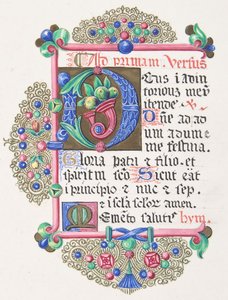 Illuminated Letter D within a Decorated Border