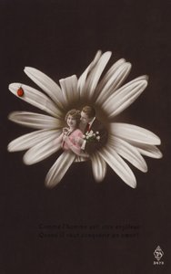 A young couple in the centre of a flower with ladybird by French Photographer