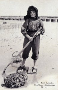 Arcachon Basin: An Oyster Parcering Machine