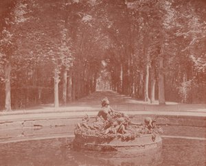 Basin of Flora, Versailles Park by French Photographer