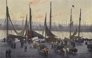 Boulogne-sur-Mer, Preparations for Herring Fishing by French Photographer