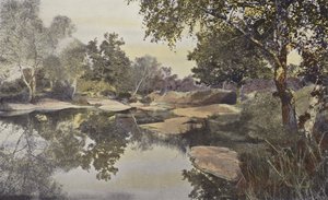 Fontainebleau, Forest, Franchard Pond