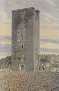 Montaner, Keep and Fortifications