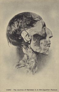 Mummy of Ramesses II by French Photographer