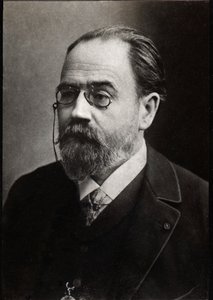 Portrait of Emile Zola