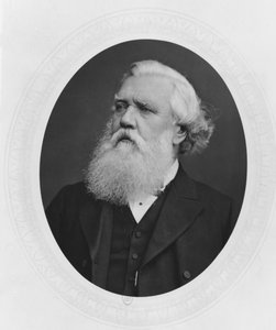 Portrait of Henry Layard